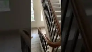 Local courier Vs Dark web courier