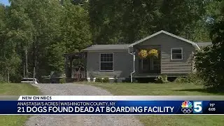 21 dogs found dead at boarding facility in Northern New York; investigation underway