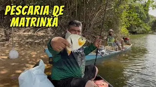 MATRINXÃ NA LINHA, CEVA FEITA E VOLTA PRA PESCARIA!