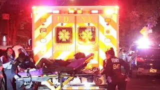 Male Shot in East New York Apartment Building - BROOKLYN 