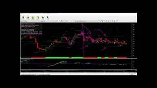 HGSI-John Person Pivots