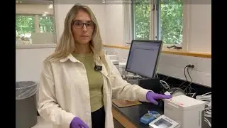 UVM Extension - Maple Syrup Quality Testing Lab Introduction