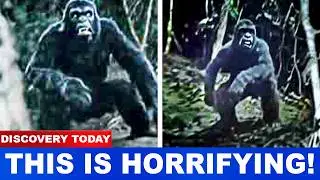 The Haunting Story Of The Honobia Bigfoot Attacks That Terrorized A Family For Months