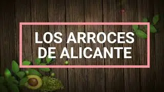 LOS ARROCES DE ALICANTE