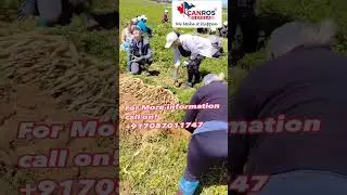 Agriculture#immigcanada#canadaimmigrationvisa#canadaapplication #cncmachine#agriculturelabor