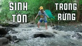 Thử Thách 1000 Giờ Làm Nhà Sinh Tồn Trong Rừng Phần Cuối