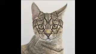 low poly art🐱#art#artist