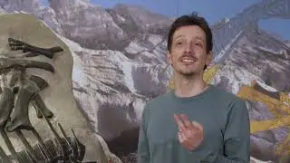 11. Descrizione del dinosauro Bruno - Prima parte