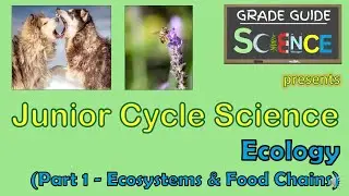 Ecology (Part 1) - Ecosystems & Food Chains - Junior Cycle Science - Revision Video