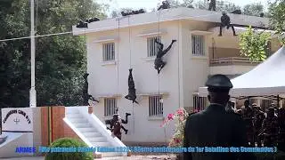 Thiès - Fête Patronale Gainde 2026 : Démonstration  choc des Commandos