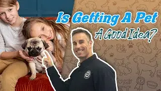 Are Pets a Good Way to Teach Kids Responsibility? | Dad University