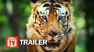 Big Beasts Documentary Series Trailer