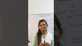 DAY-11 OF ONE MUSCLE A DAY#auricle @Buddingphysios#anatomy#medicos#physio#youtubeshorts#ytstudio