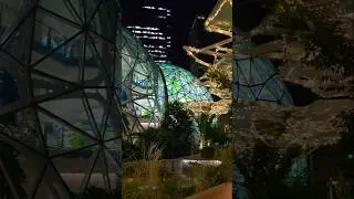This view made me slow down 😍 The Spheres, Seattle, WA #shorts #youtubeshorts #shortsfeed