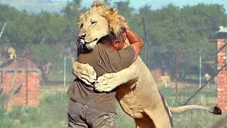 Animals' Reunion with Their Owners After Years of Separation
