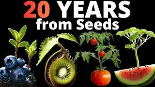 48 Plants, 7401 Days – Everything I Grew in 20 Years