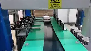 Eurasia Robotic 4 cavity iml robot with vision control