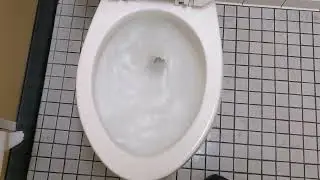 1997-2004 American standard Canadian Cadet toilet on flushometer!!