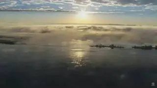 Great Spirit Bluff Falcon Cam ~ In The Morning Light; Sunrise Over The Mississippi 6.21.17