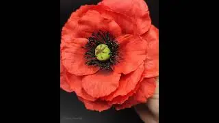 Брошь цветок Мак чокер стильный модный аксессуар Brooch poppy flower choker