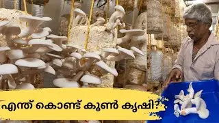 എന്ത് കൊണ്ട് കൂൺ കൃഷി??കർഷകൻ്റെ ചിന്തകൾ!!🥰#youtube#kaalpadukal#farmlife 