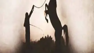 ال عادي الجرابيع