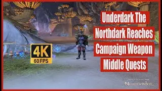 Neverwinter 2024 MMO Chronicles Underdark The Northdark Reaches Campaign Weapon Middle Quests