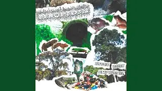 Various Assortments of Phyllobates