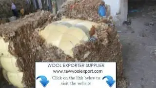 Buy Raw Wool India