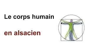 Cours d'alsacien - 32 - Vocabulaire du corps humain