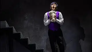 Don Giovanni ,,Dalla sua pace