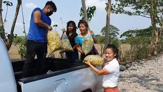 En el Cañal Buscando 6Mil Semilas Para reforestar