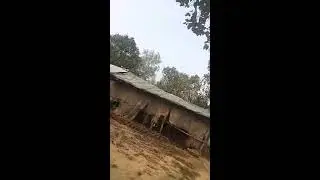 Shorts video youtube shorts video Tik tok video Fani video  bhojpuri songs Hindi songs