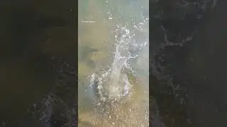 Throwing Soil Piece Into Water Slow Motion #shorts