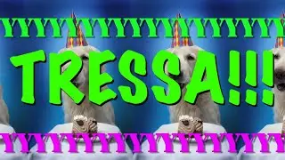 HAPPY BIRTHDAY TRESSA! - EPIC Happy Birthday Song