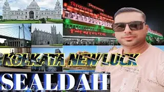 SEALDAH চোর বাজার || sealdah wholesale fish market fishmarket sealdah fish market 