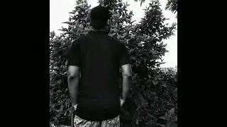 Mista Lord - Pearls of Affection (Prod. Directa)