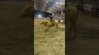 Bull Riding (Cumming, Georgia) - Luke