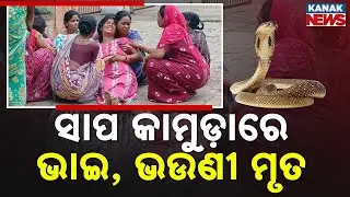 Tragedy In Bolangir: Brother And Sister Dead After Snakebite While Sleeping