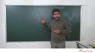 Life Processes (Photosynthesis)