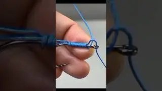 jak nav&aacute;zat h&aacute;ček #fishing #carpfishing #rybařen&iacute; #carp #fish #ryby #popular #shorts #czech #viral