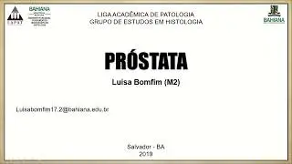 Próstata - Vídeo-Aulas LAPAT