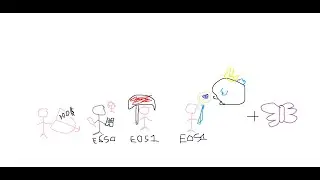 Cyrene dps 0 cycle sunday with E0S1 Evernight and hyacine