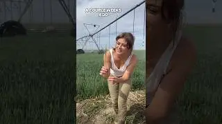 Grain cart girls comin! #farmlife #harvest #wheat #shorts #fun #fyp #farming #citygirl #farmgirl