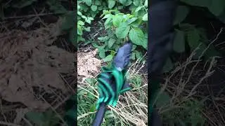 Запамʼятайте соя класична сіється на 38см. не меньше! Я все сказав!