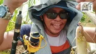 MANCING DI LAE SOURAYA DAPATNYA IKAN MISTERIUS BROO