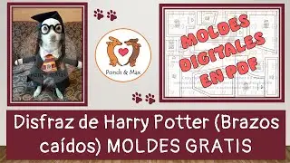 DIY 🐶 Elaboración de disfraz de Harry Potter para perros📌 🥰 Ropa para perros y mascotas ❤❤❤