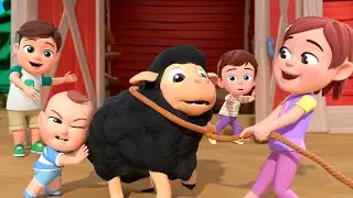 Baa Baa Black & White Sheep Roundup Rescue! | Almama - Baby Academy