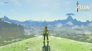 Zelda BOTW🍃Nature Sounds to study / relax 🌿🐦