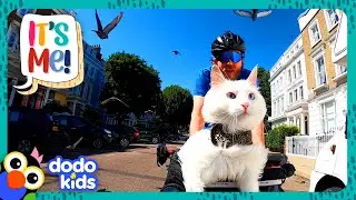 Princess Cat Loves Biking But CAN&rsquo;T STAND One Thing... | Dodo Kids | It's Me